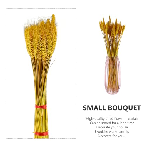 Bouquet de 100 espigas de trigo natural secas para decoración miniatura 3