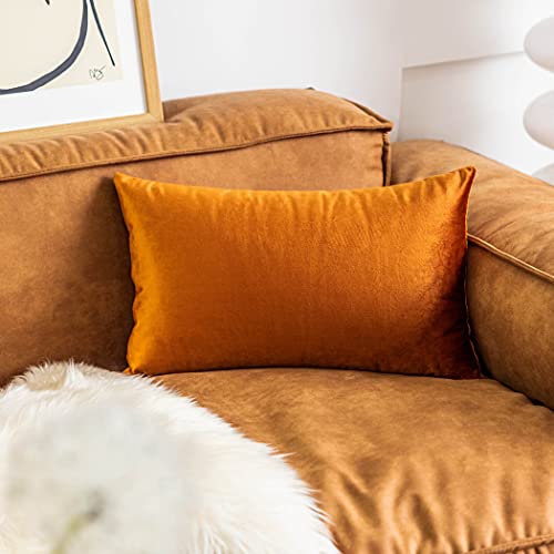Home Brilliant Lumbar Pillow Cover for Chair Bed, Velvet Decorative