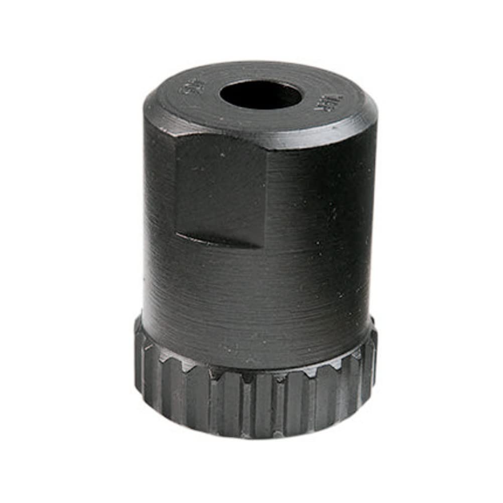 VAR Piñón -Extraktor