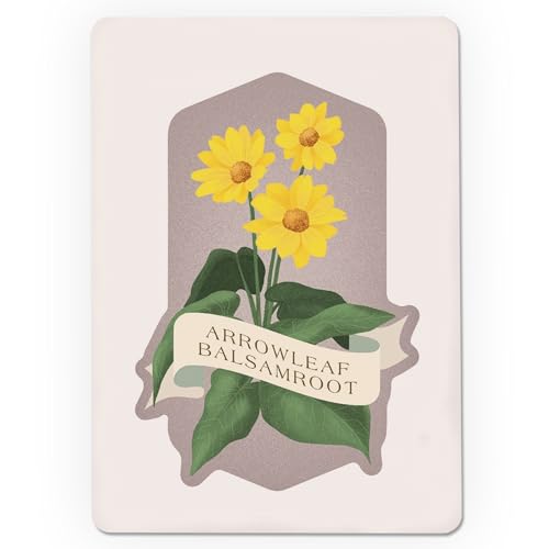 Baraja Vintage Flora Arrowleaf Balsamroot 52 cartas póker miniatura 3