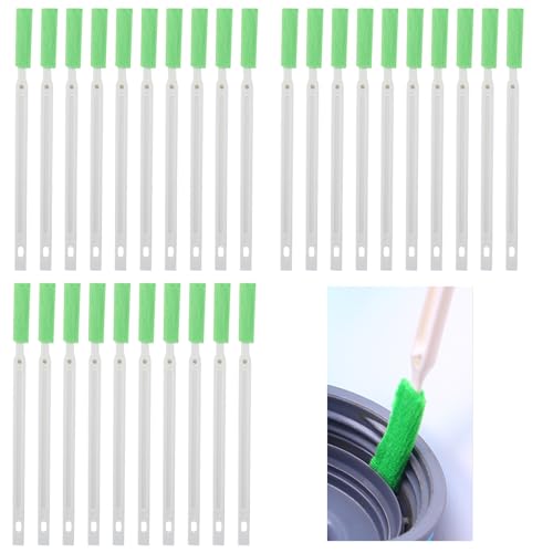 GAR | uV ԃuV 30{ ԑ| | gC| C@| uV t@ Lb`  gC| |̃vE (O[)