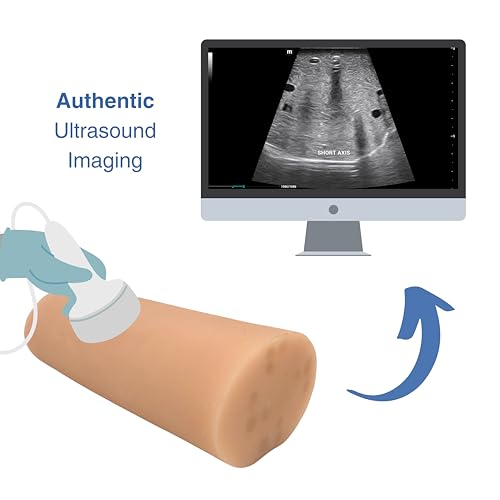 Echonect Ultraschall vaskulärer Zugang Phantom - Armmodell für IV- und Kathetertraining