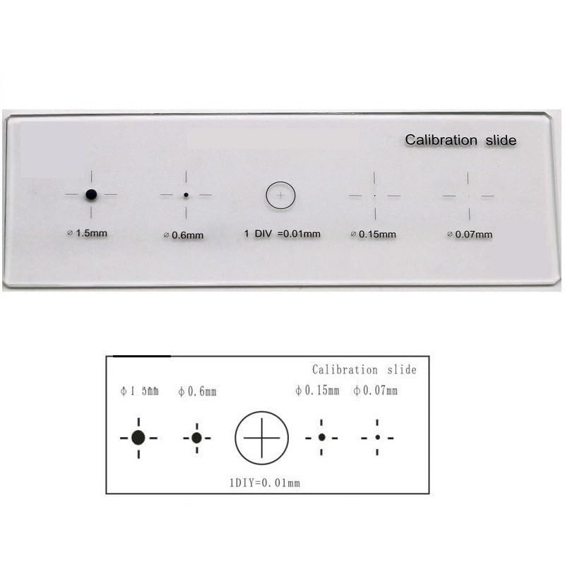 明視野顕微鏡の使い方 （ミクロメーターの使い方も含む）｜生物学実験｜文系学生実験｜取り組み｜平成22年度文部科学省選定 大学教育・学生支援推進事業  大学教育推進プログラム 慶應義塾大学 日吉キャンパス 科学的思考力を育む文系学生の実験の開発 ―実学の伝統の将来へ ... 顕微鏡校正用顕微鏡ガラススライドレチクル定規ステージダイヤルマイクロメーター生物学的測定用校正定規(MS 1 5)