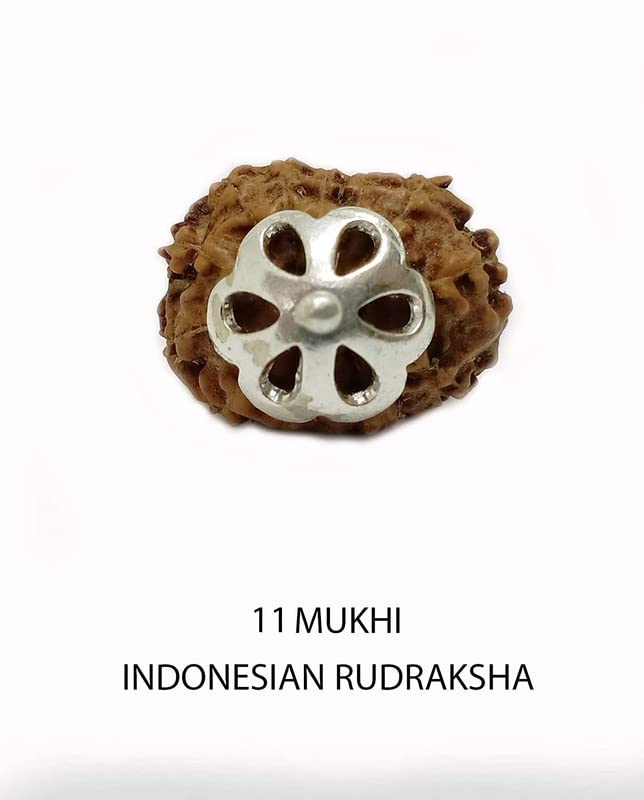 Rudraksha 11 Mukhi pendentif contre le stress perle Java indonésienne - 2