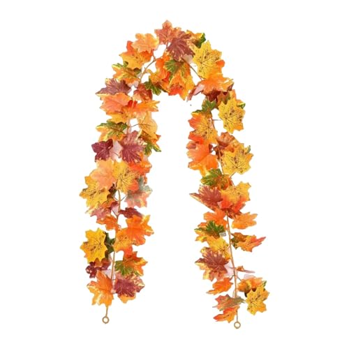 YWMJZEU ݂艺p̏H̗t̃K[hAAAƂ̑AIȃNX}XMtgAՂAjAH̑AH̃K[h, Style C