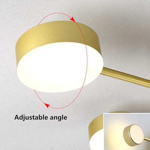 Plafonnier LED moderne dimmable avec télécommande pour salon