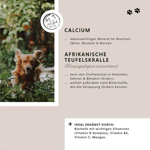 Gelenktabletten für Hunde mit MSM, Grünlippmuschel, Teufelskralle, Glucosamin & Hyaluron - 2 Dosen á 120 Gelenke Tabletten für Hunde - Hohe Akzeptanz beim Hund durch kleine Tabletten - Doppelpack