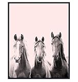 Horse Wall Decor - Horse Wall Art - Horse Decorations - Farmhouse Barn Wall Decor for Girls Bedroom...