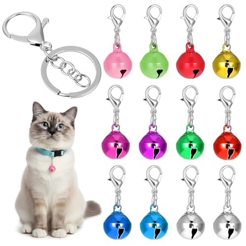 Wanmu �y�b�g�x�� �� �L ��� 12�� �q�L �q�� �x�� 1�p�b�N�L�[�`�F�[���t�� ���^���̎�� �`���[�� �y���_���g �A�N�Z�T���[ �N���X�v�t�� �t�F�X�e�B�o�� �p�[�e�B�[ DIY �N���t�g �N���X�}�X �f�R���[�V���� (9�F)