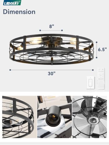Image of LEDIARY 30 inch Caged Low Profile Ceiling Fan with Light and Remote Black