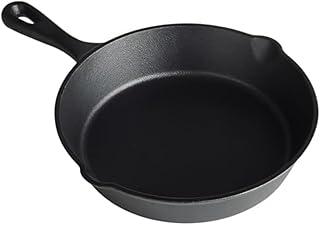 南部鉄器 無塗装鉄フライパン スキレット 20cm