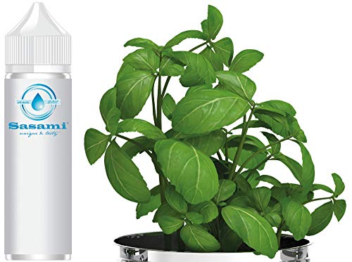 Basilic arôme concentré vegan Sasami 100 ml pour préparations