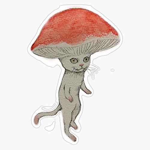 Mushroom Cat Sticker Decal Vinyl Bumper Sticker Decal Waterproof 5