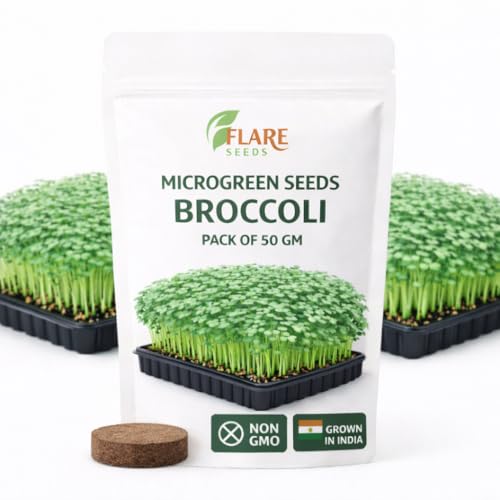 Image of Broccoli Microgreen Seeds, Non-GMO Chemical Free, 50 GM Pack, Rich in Sulforaphane, Vitamins A C K, Fiber, Grown in India