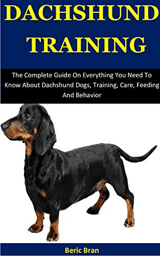 everything dachshund