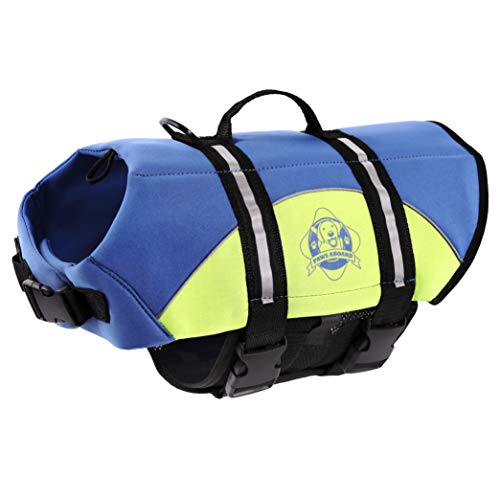 7 Best Dog Life Jackets and Flotation Vests for Dogs That Swim in 2020