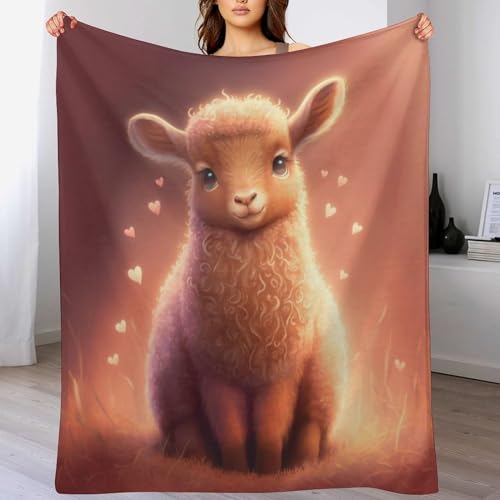 Plaid canapé douillet couverture polaire lit mouton - 2