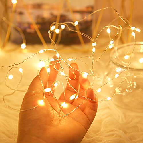 Ehwine 24 Pack Fairy Lights Battery Operated String Lights, Led Fairy Lights For Bedroom 7Ft 20 Led Battery String Lights Waterproof Firefly Lights For Diy Wedding Party Christmas Decor, Warm White #TOP3