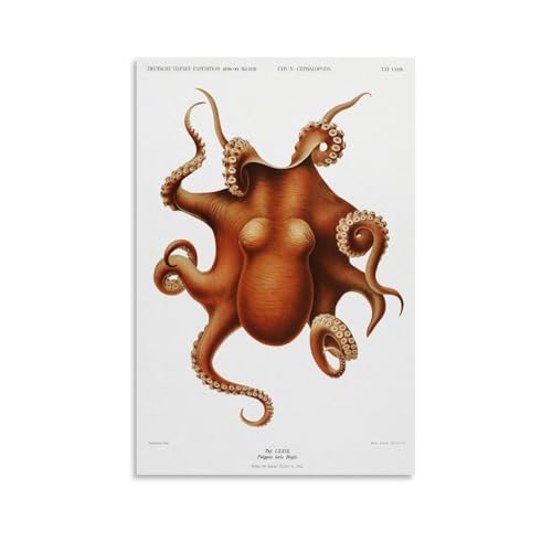 Octopus Illlustration by Carl Chun Poster�C���e���A�f�U�C���A�A�[�g�v�����g�̑����A�����̐V�����Ƃ̑��蕨�̂��߂̔������|�X�^�[24x36inch(60x90cm) Unframe-style