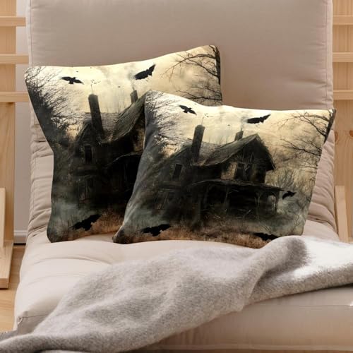 Housse de coussin velours 50x50 Flying Crows cabine