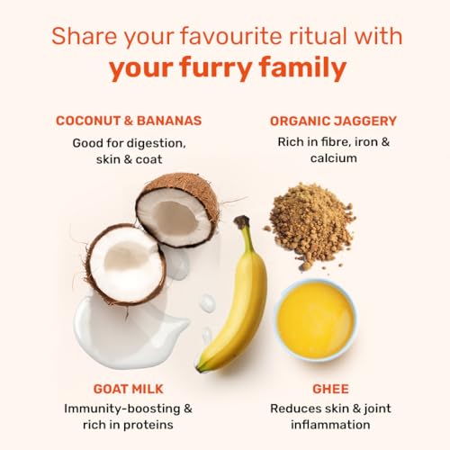 Image of Yummy in My Tummy by HUFT Chai Time Coconut Dog Biscuits - 200 gm | Gluten-Free Vegetarian Crunchy Treats for Puppies & Adult Dogs | Healthy Snack | Suitable for All Breeds Dogs