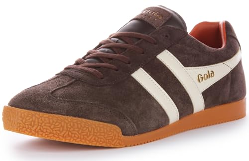 Image of Gola Harrier