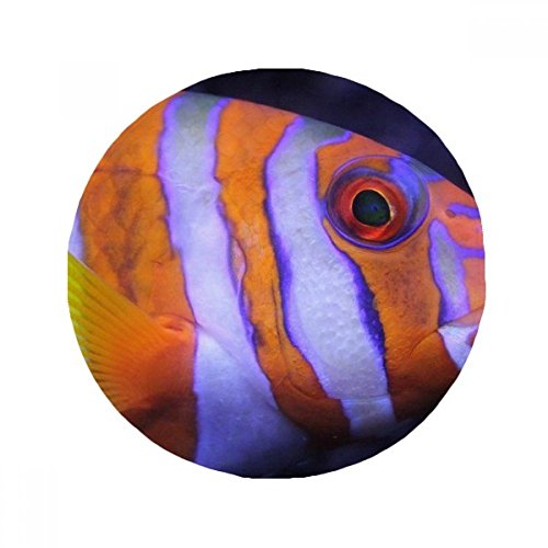 Tapis de sol rond poisson tropical : cadeau déco multicolore