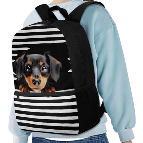 xixirimido Schulrucksack für Kinder, 43,2 cm, Büchertasche, Schultertasche, Rucksack, Dackel Hund, Einheitsgröße