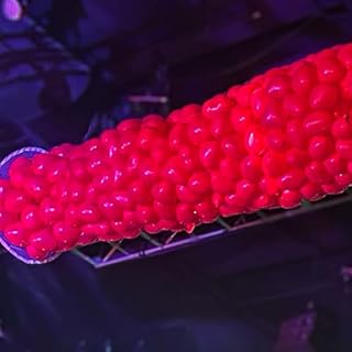 PMU Balloon Release Drop - EZ-1000 Professional Reusable Balloon Net System Pkg/1