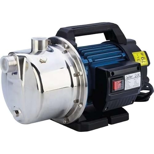 Oberflächenpumpe Jet Edelstahl SW100i CAPVERT - Leistung 1000 W