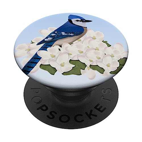 Chara Azul Pájaro Jardín Observador de Aves Biólogo Animal PopSockets PopGrip Intercambiable