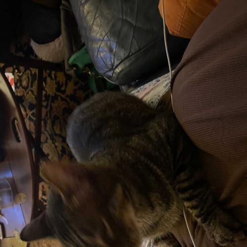 Couverture de BIg loop