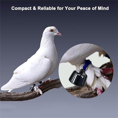 Mini Haustierortungsgerät für Hunde & Katzen, Kompatibel mit iOS & Android mit Reflektierend Halsband, Ortungsgerät Weltweite Standortverfolgung, IP67 Wasserdicht für Hauskatzen und Hunde (Black)