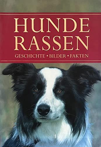 Hunderassen: Geschichte, Bilder, Fakten