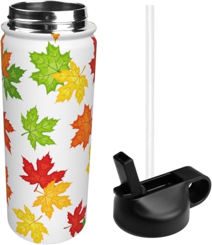 X|[c gt JGf̗t XeX{g X|[c{g @r ^fM ۉ|bg e XeX  EH[^[{g  ϗϔM j̎q ̎q AEghA ֗ sp 532ml 蕨 [sAi]