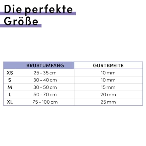 STUCH - Hundegeschirr Vegan PureControl - verstellbar, Farbe:Beige, Größe:S