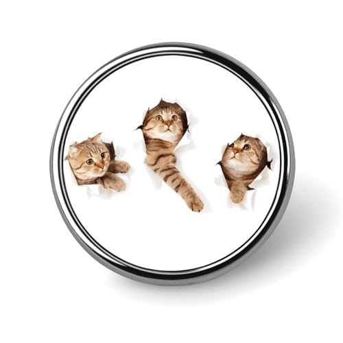 obW ~` ʔ ˂ L L sobW lN^Cs ANZT[ obWs obO   y h~ lC ی^ 킢 Y fB[X 蕨