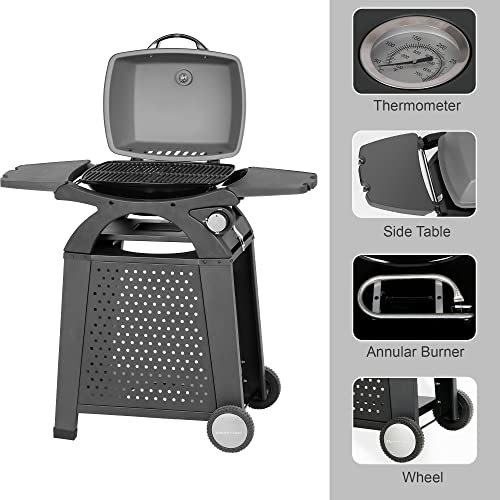 The 8 Best MASTER COOK Gas Grills of 2023 [Verified] Cherry Picks