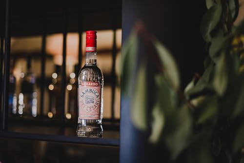 Luxardo Sambuca dei Cesari Likör, 1er Pack (1 x 700 ml)