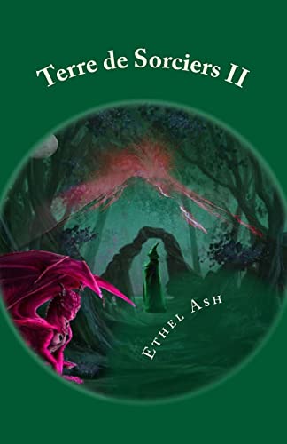 Terre de Sorciers II: Le voyageur (French Edition)