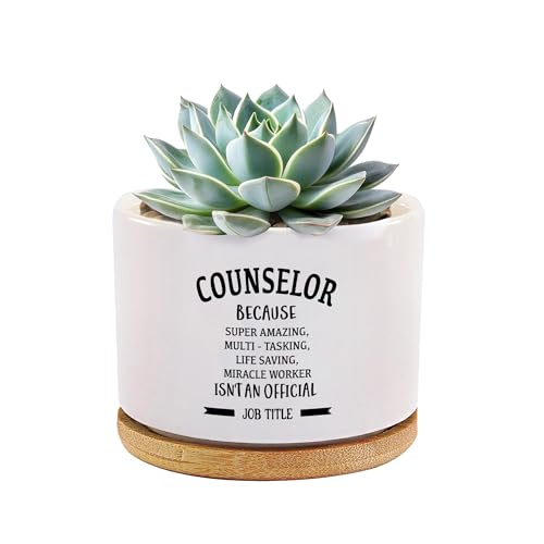 Loovelo Counselor Because Miracle Worker Isn't an Official Job Counselor Gifts Mental Health Therapist Ceramic Succulent Plant Pot with Bamboo Tray Round Home Office Decor 3.5 Inch White (No Plants)