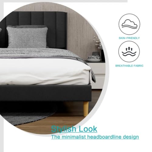 Image of Low Profile Upholstered Platform Bed with Winback Headboard | Bed Queen Size | Bed for Bedroom, Living Room | Bed Without Storage | Mattress not Included | Fabric Color:- Black