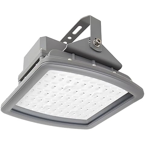 200W LED Explosion-Proof Floodlight, Hazardous Location Flood Lights for Gas Station, Petroleum Refineries, Aircraft Hangars, Utility Gas Plants or Storage Areas 100-277V 5000K Cover
