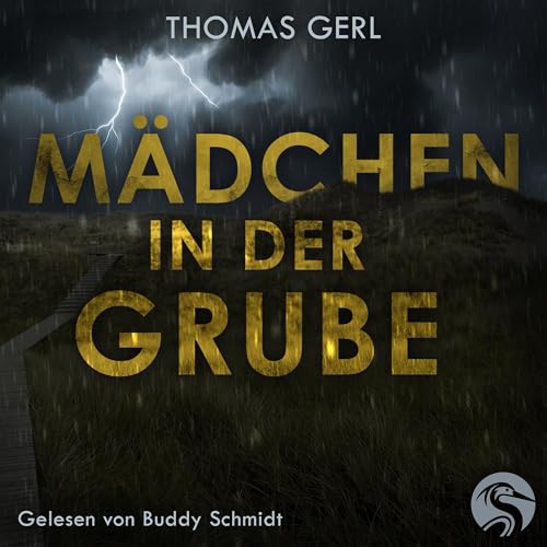 M&auml;dchen in der Grube cover art