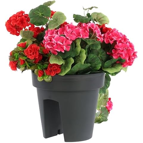 botle Anthracite Balcony Flower Box 24.5 cm Cover