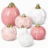 Thyle 6 Pcs Pink and White Bow Ceramic Pumpkin Fall Table Decor