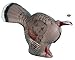 Rinehart Targets 409 Gobbling Turkey Self Healing Archery Hunting Target