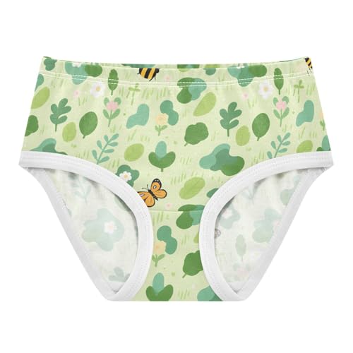 GuoChe Cotton Briefs Underwear Moisture Wicking Breathable Toddler Underwear for Toddlers in Sizes 2T,3T, 4T, 5T, 6Y and 8Y