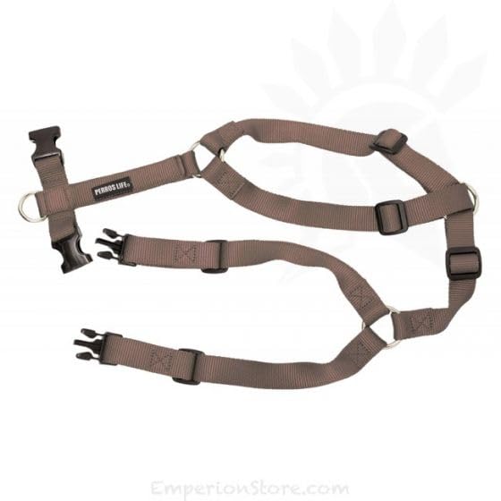 Pettorina con Apertura Anteriore Cane Torace 61-85 cm Border Collie Nylon (Marrone)