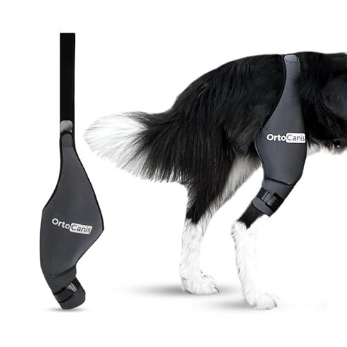 Ortocanis Dog Knee Brace for Torn Acl Hind Leg, Cruciate Ligament Injuries, Patella Dislocation or Osteoarthritis - Dog Acl Knee Brace - Dog Braces for Back Leg for Support (Small, Left Leg)